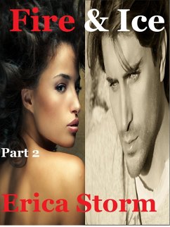 Fire and Ice (eBook, ePUB) - Storm, Erica