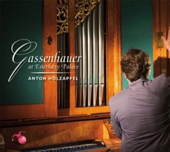 Gassenhauer At Esterházy Palace - Holzapfel,Anton