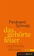 Das gehörte Feuer (eBook, ePUB) - Bild 1