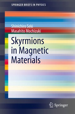 Skyrmions in Magnetic Materials (eBook, PDF) - Seki, Shinichiro; Mochizuki, Masahito