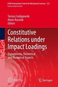 Cover Constitutive Relations under Impact Loadings (eBook, PDF)