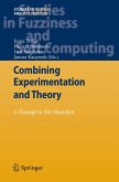 Combining Experimentation and Theory (eBook, PDF)