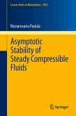 Asymptotic Stability of Steady Compressible Fluids (eBook, PDF)