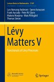Lévy Matters V (eBook, PDF)