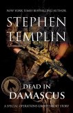 Dead in Damascus: [#0] A Special Operations Group Short Story (eBook, ePUB)
