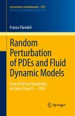 Random Perturbation of PDEs and Fluid Dynamic Models (eBook, PDF)