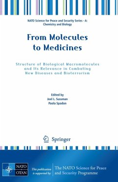 From Molecules to Medicines (eBook, PDF)