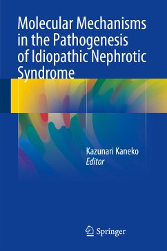 Molecular Mechanisms in the Pathogenesis of Idiopathic Nephrotic Syndrome (eBook, PDF)