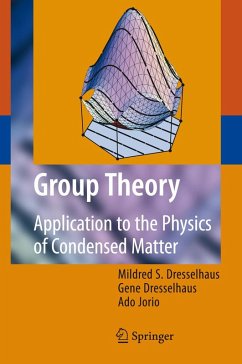 Group Theory (eBook, PDF) - Dresselhaus, Mildred S.; Dresselhaus, Gene; Jorio, Ado