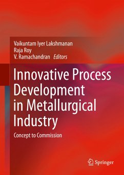 Innovative Process Development in Metallurgical Industry (eBook, PDF)