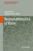Neuromathematics of Vision (eBook, PDF)
