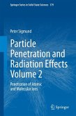 Particle Penetration and Radiation Effects Volume 2 (eBook, PDF)