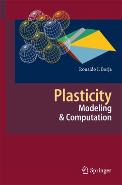 Plasticity (eBook, PDF) - Borja, Ronaldo I.