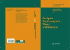 Geospace Electromagnetic Waves and Radiation (eBook, PDF)
