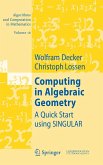 Computing in Algebraic Geometry (eBook, PDF)