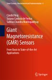 Giant Magnetoresistance (GMR) Sensors (eBook, PDF)