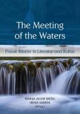 The Meeting of the Waters