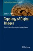 Topology of Digital Images (eBook, PDF)