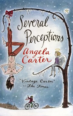 Cover Several Perceptions (eBook, ePUB)