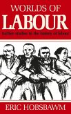 Worlds of Labour (eBook, ePUB)