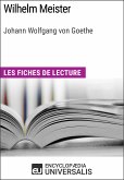 Wilhelm Meister de Goethe (eBook, ePUB)