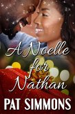 A Noelle for Nathan (Andersen Brothers, #3) (eBook, ePUB)