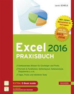 Excel 2016 Praxisbuch, m. 1 Buch, m. 1 E-Book - Schels, Ignatz