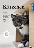 Kätzchen Kätzchen