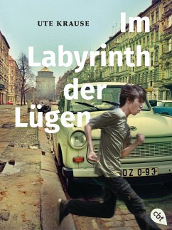 Im Labyrinth der Lügen (eBook, ePUB) - Krause, Ute