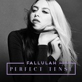 Perfect Tense Perfect Tense