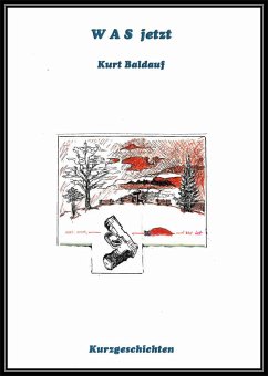 W A S jetzt (eBook, ePUB) - Baldauf, Kurt