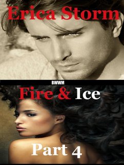 Fire and Ice (eBook, ePUB) - Storm, Erica