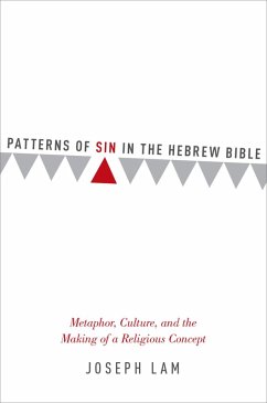 Cover Patterns of Sin in the Hebrew Bible (eBook, ePUB)