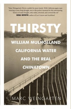 Thirsty (eBook, ePUB) - Weingarten, Marc