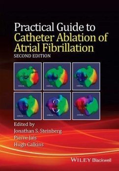 Practical Guide to Catheter Ablation of Atrial Fibrillation (eBook, PDF) - Steinberg, Jonathan S.; Jais, Pierre; Calkins, Hugh