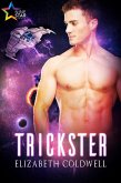 Trickster (eBook, ePUB)