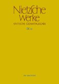 Arbeitsheft W II 10 sowie Aufzeichnungen aus diversen Heften / Friedrich Nietzsche: Nietzsche Werke. Abteilung 9: Der handschriftliche Nachlaß ab Frühjahr 1885 in differenzierter Tran Abt.9, Band 11, Bd.11