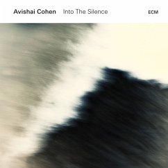 Into The Silence - Cohen,Avishai