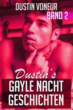 Dustin's Gayle Nacht Geschichten: Band 2 (eBook, ePUB) - Voneur, Dustin