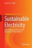 Sustainable Electricity