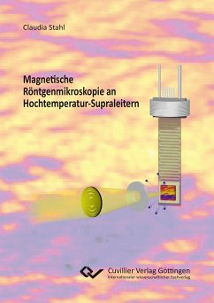 Magnetische Röntgenmikroskopie an Hochtemperatur-Supraleitern - Stahl, Claudia