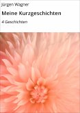 Meine Kurzgeschichten (eBook, ePUB)