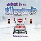 What Is a Blizzard?