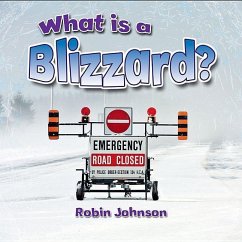 What Is a Blizzard? - Johnson, Robin