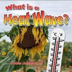 What Is a Heat Wave?