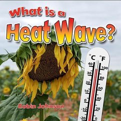 What Is a Heat Wave? - Johnson, Robin