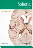Neuroanatomie, Lernkarten / Sobotta Lernkarten