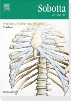 Knochen, Bänder und Gelenke, Lernkarten / Sobotta Lernkarten - Sobotta, Johannes