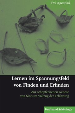 Lernen im Spannungsfeld von Finden und Erfinden - Agostini, Evi