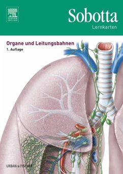 Sobotta Lernkarten Organe und Leitungsbahnen - Sobotta, Johannes